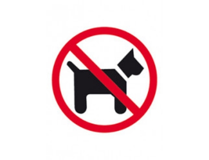 Afbeeldingen van pictogram 114x114mm "geen honden"