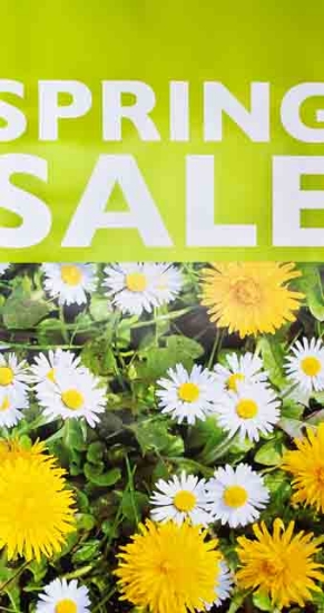 Afbeeldingen van Raambiljet "Spring Sale"