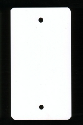 Afbeeldingen van PVC-labels 54x108 mm wit 2 gaten (1000st)