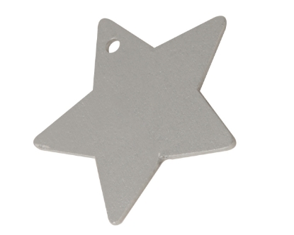 Afbeeldingen van Decoratieve hanger ster zilver (100 stuks)