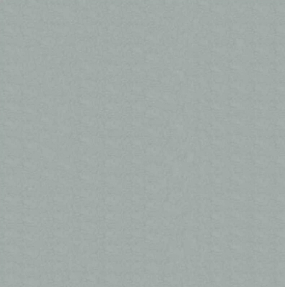 Afbeeldingen van Cadeaupapier 'Zilver'