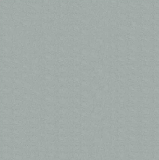 Afbeeldingen van Cadeaupapier 'Zilver'