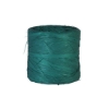 Afbeeldingen van Raffia lint 'Lime groen'